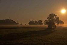 haundorf sonnenaufgang bei nebel.jpg